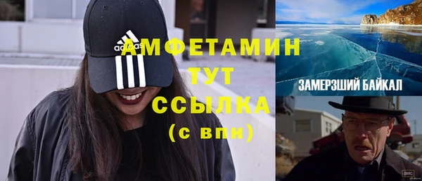 гидропоника Алзамай