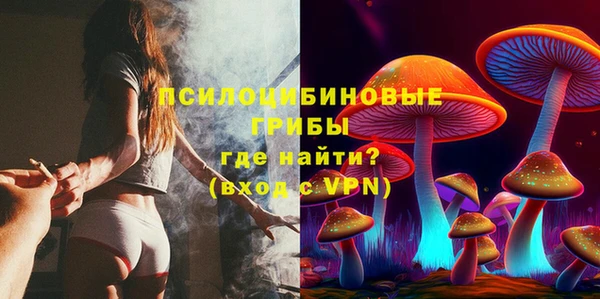 гидропоника Алзамай