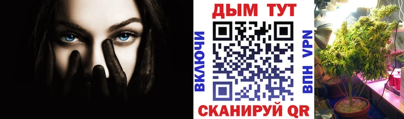 Канабис тримм  купить наркотики сайты  Тогучин 
